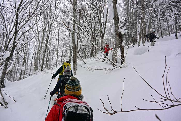 天幕山の山スキー