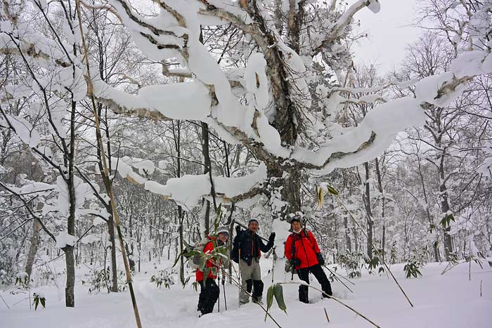 天幕山の山スキー