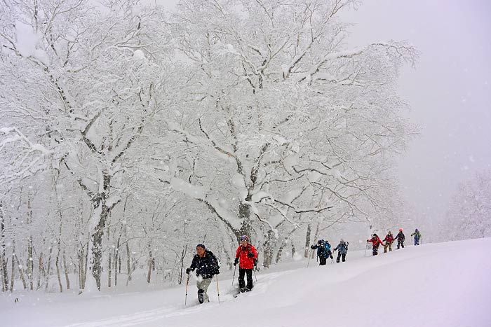 天幕山の山スキー