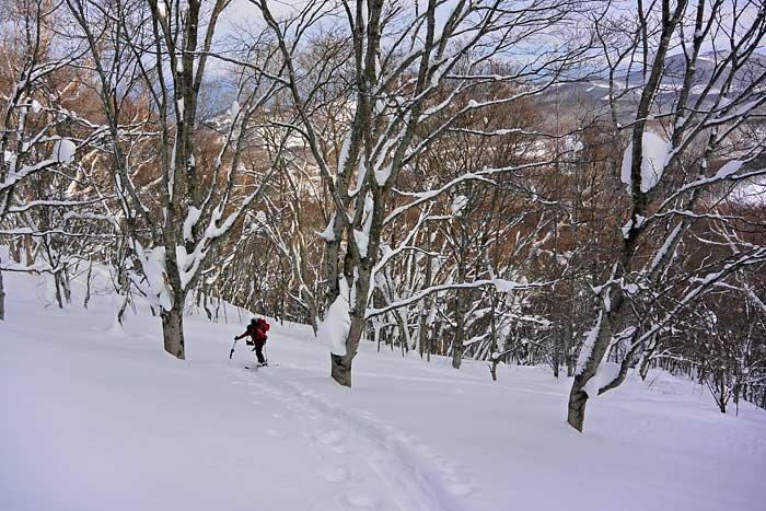 塩谷丸山で山スキー