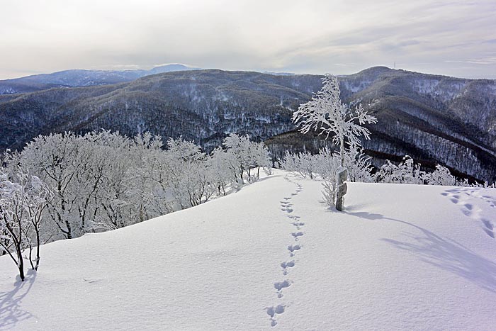 塩谷丸山で山スキー