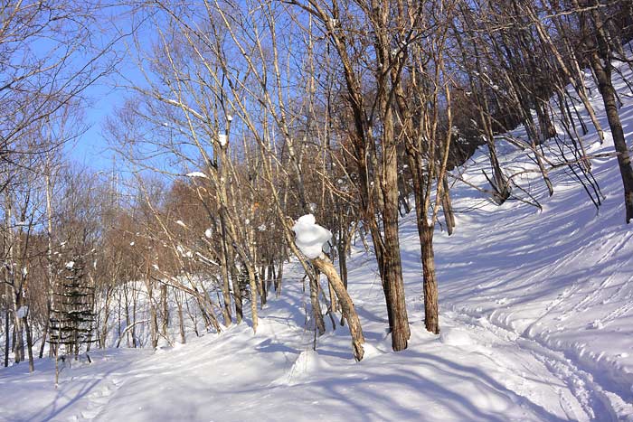 迷沢山バックカントリー