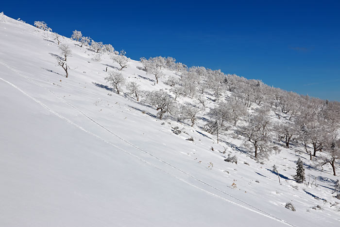 労山熊見山バックカントリー