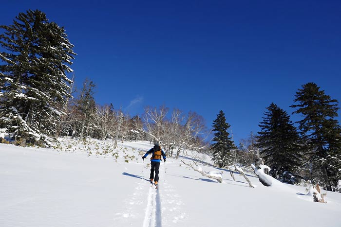 労山熊見山バックカントリー