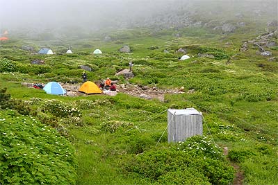 gуgCu[X