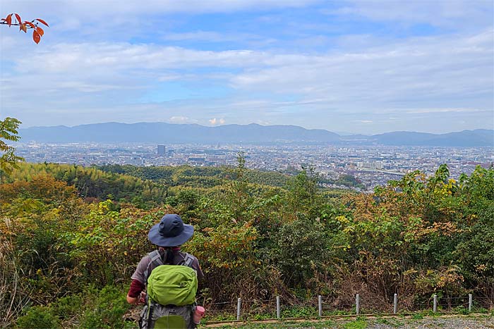 大岩山展望台