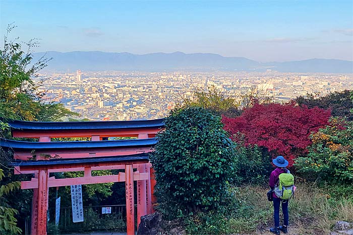 稲荷大社お山巡り