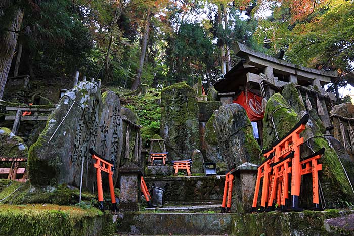 稲荷大社お山巡り