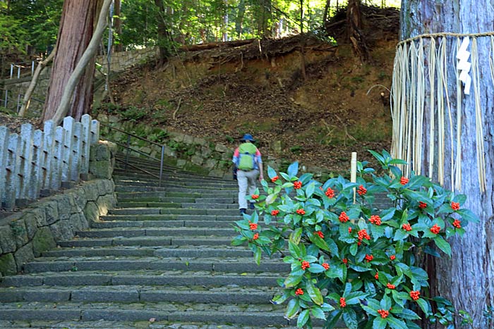 白川天神