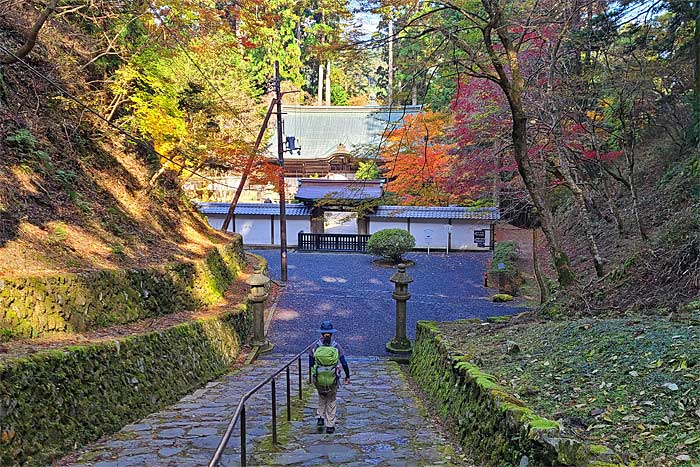 京都一周トレイル比叡山西塔エリア