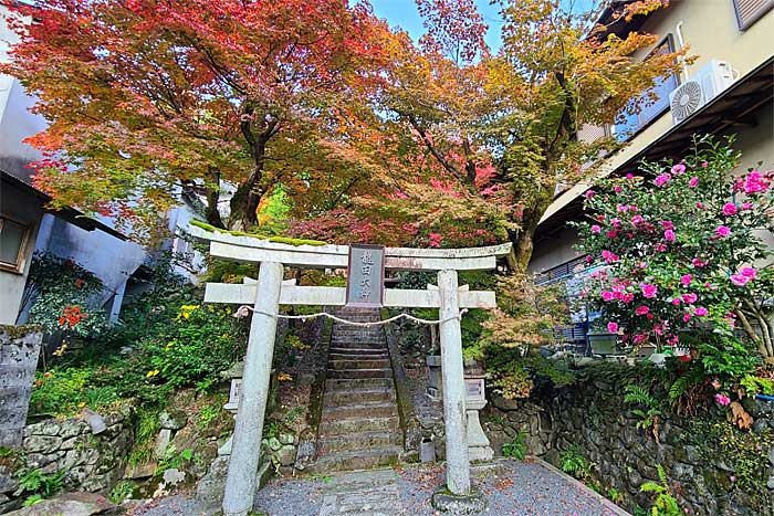 龍田大神