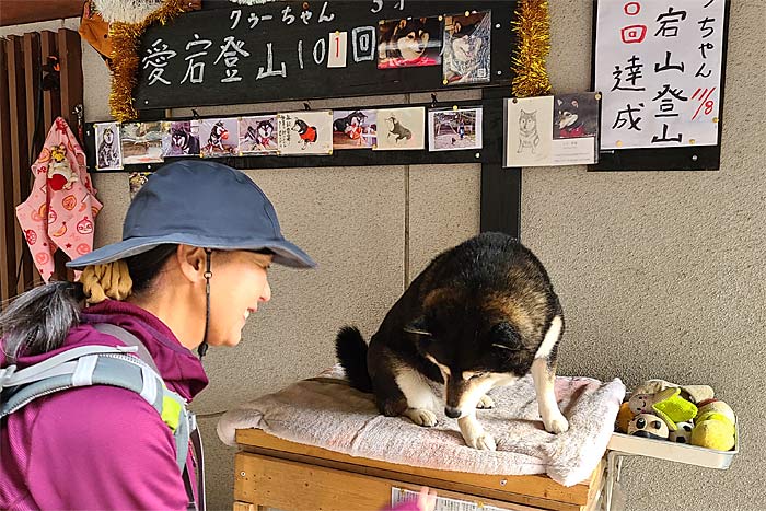 クーちゃん