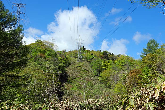 手稲山平和の滝コース