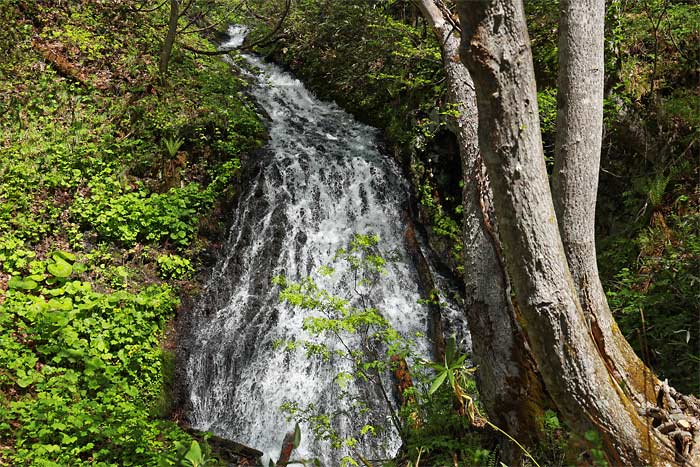 手稲山平和の滝コース