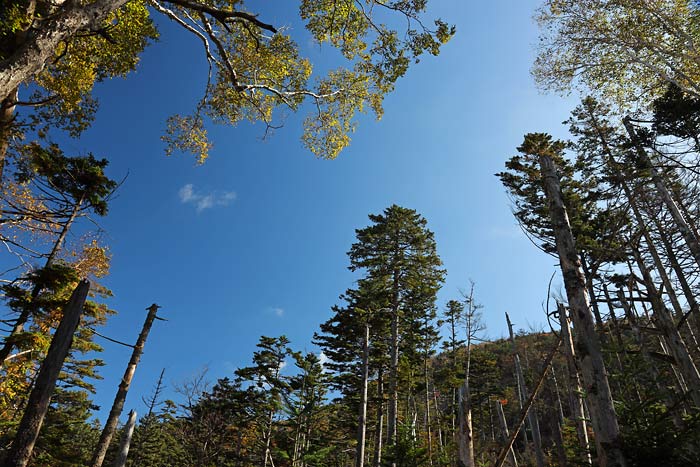 東ヌプカウシヌプリの登山