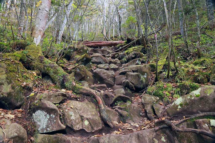 東ヌプカウシヌプリの登山